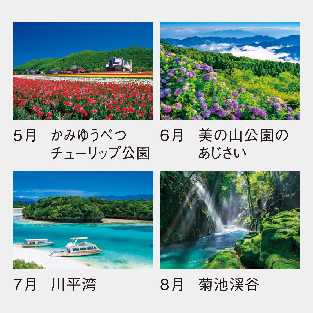 SP-111 フォトジャンボ