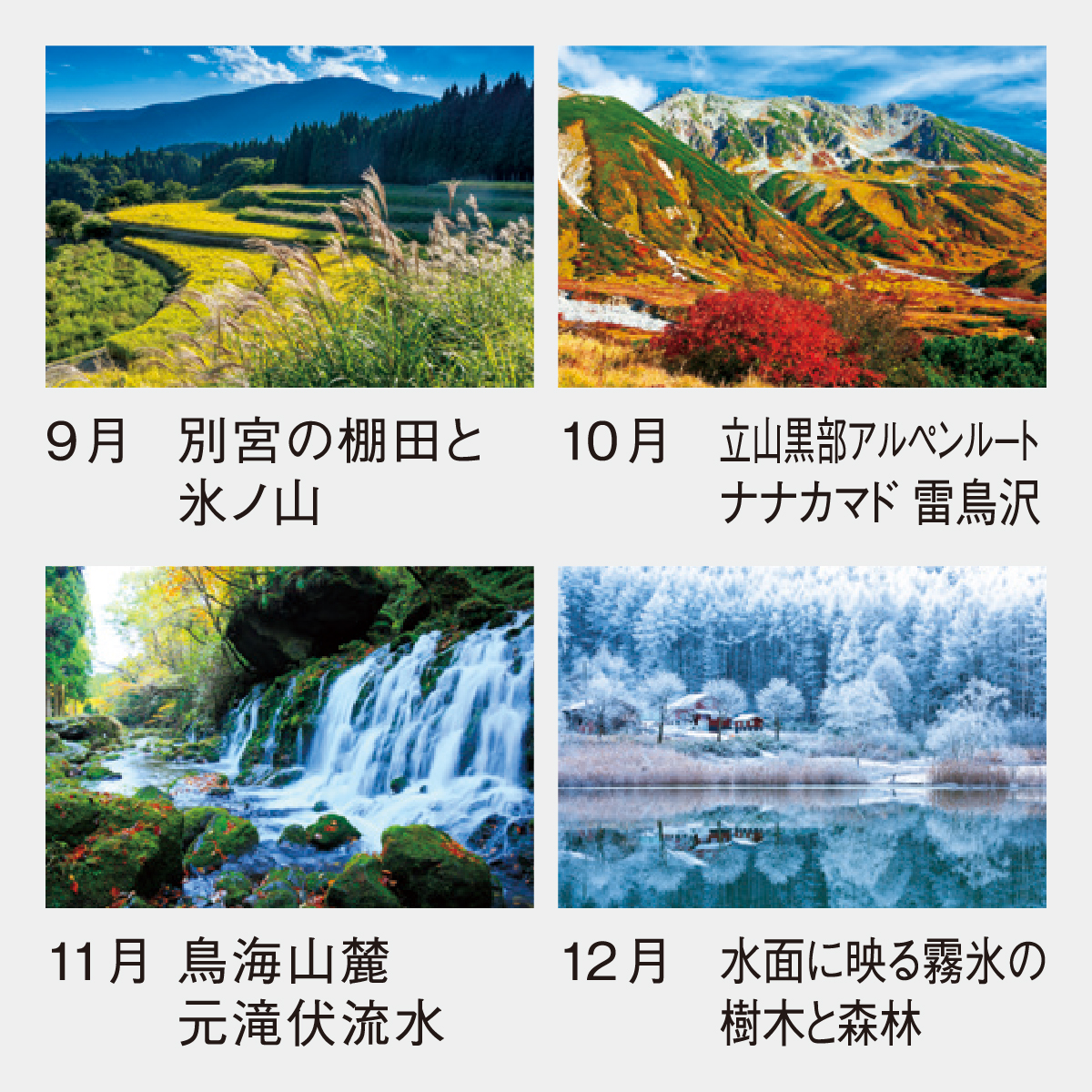 SP-111 フォトジャンボ