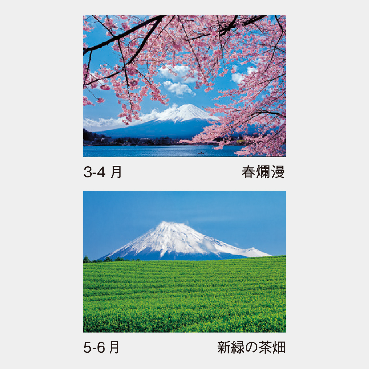 SP-18 富士の四季
