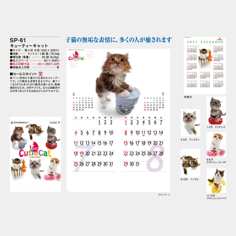 SP-61 キューティーキャット