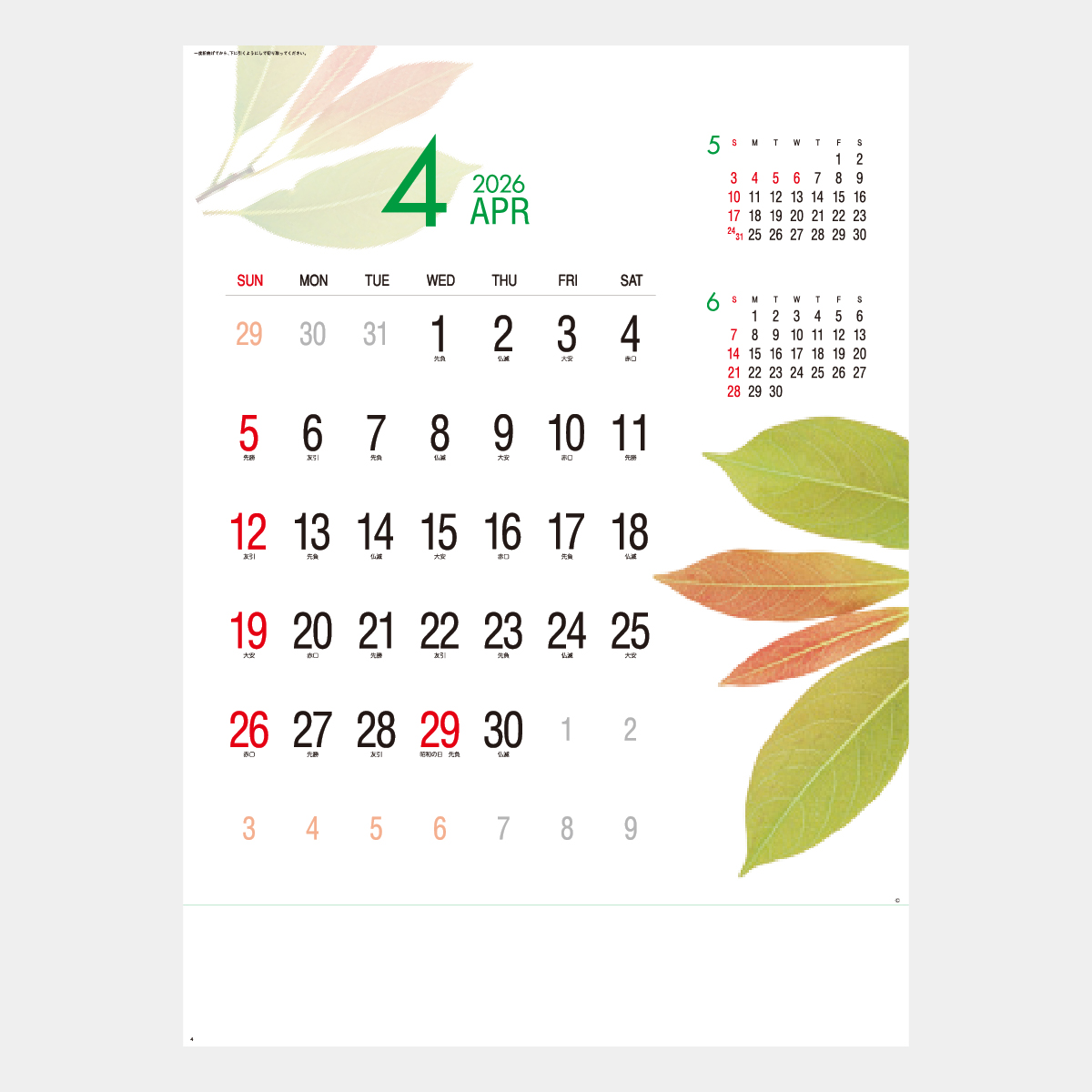 SP-64 エコ・フィールド