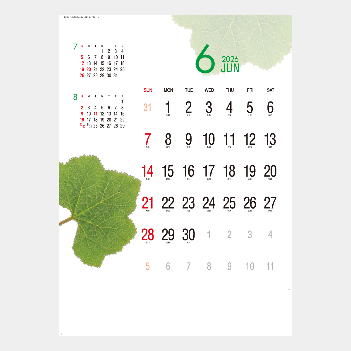 SP-64 エコ・フィールド