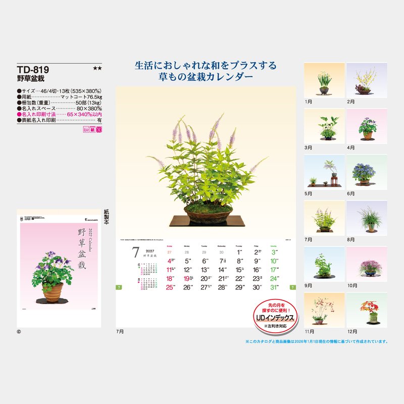 TD-819 野草盆栽