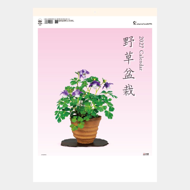 TD-819 野草盆栽
