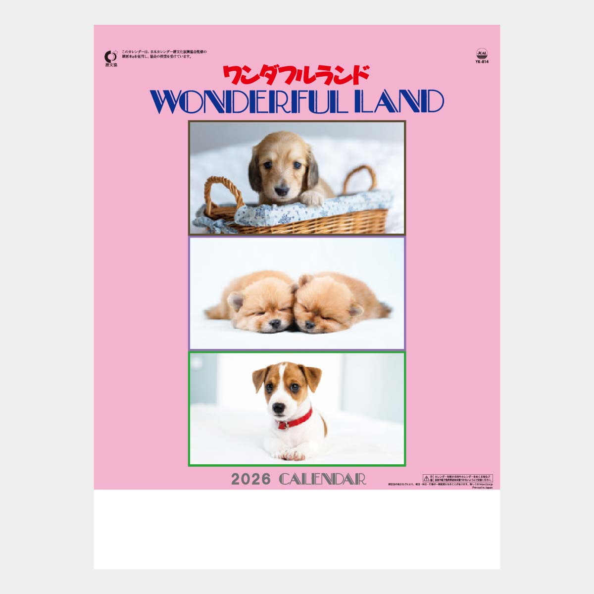 YK-814 ワンダフルランド(仔犬)